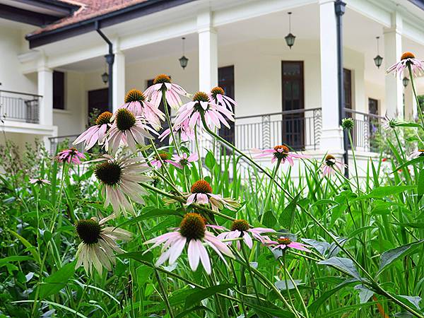 中國‧上海閒逛(十五)‧武康路和思南公館一帶(Shangha
