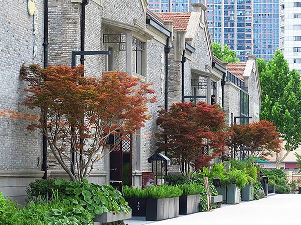 中國‧上海閒逛(十六)‧渡輪、夜景和其他(Shanghai 