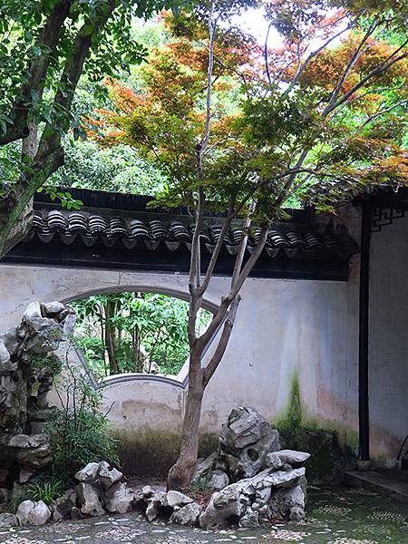中國‧蘇州‧重訪同里(Tongli)