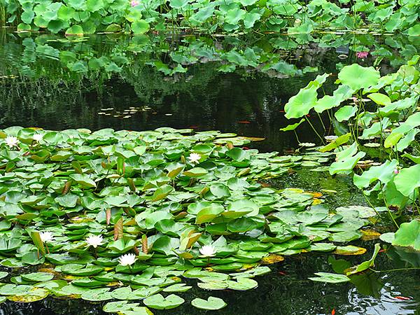 中國‧蘇州‧東山(上) ‧雕花樓(Dongshan I)