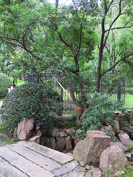 中國‧蘇州‧東山(中) ‧啓園(Dongshan II)