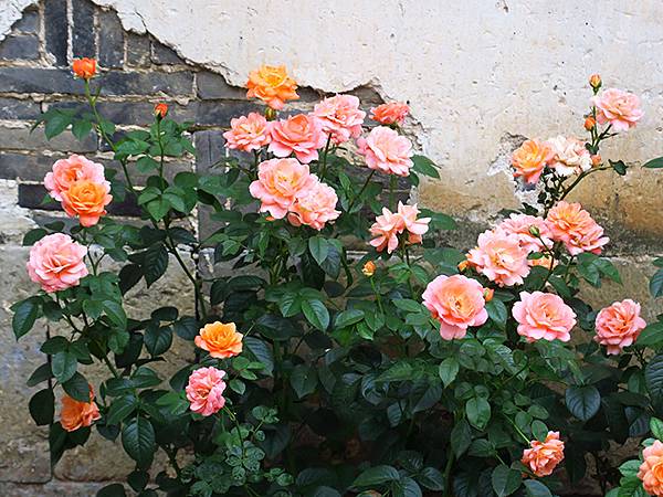 中國‧蘇州‧東山(下) ‧陸巷古村(Dongshan III