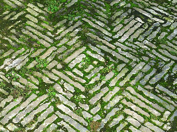 中國‧蘇州‧東山(下) ‧陸巷古村(Dongshan III