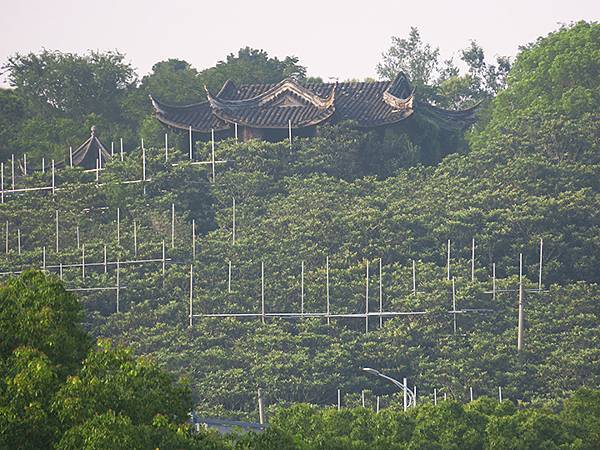 中國‧蘇州‧東山(下) ‧陸巷古村(Dongshan III