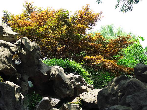 中國‧蘇州散步‧東園、耦園、平江路、金雞湖(Suzhou S