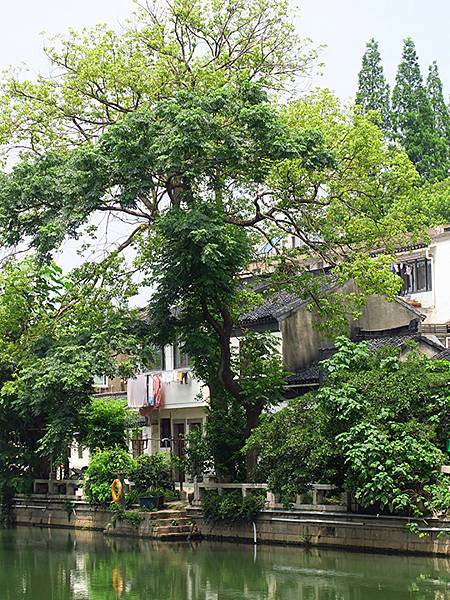 中國‧蘇州散步‧東園、耦園、平江路、金雞湖(Suzhou S