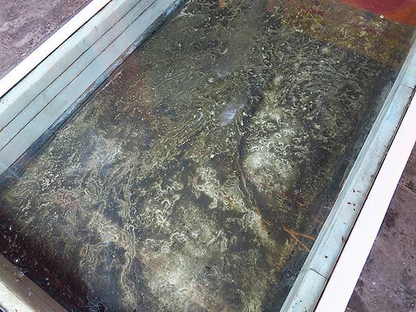 中國‧北京‧八大處(Beijing Badachu)