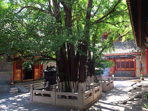 中國‧北京‧八大處(Beijing Badachu)