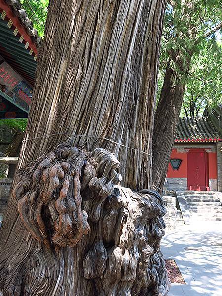 中國‧北京‧八大處(Beijing Badachu)