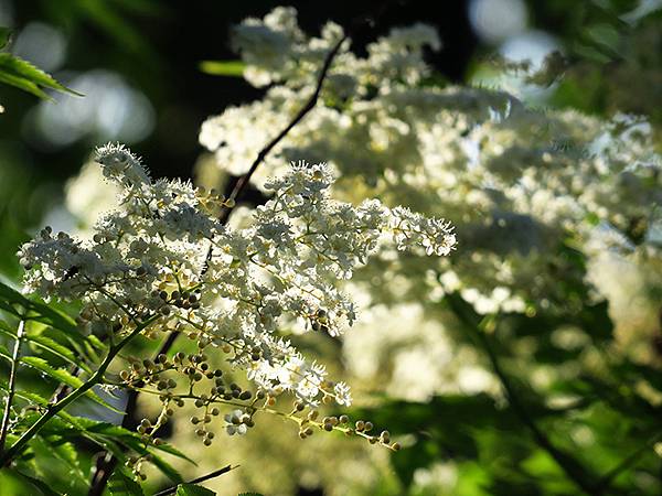 中國‧北京‧地壇、孔廟、國子監(Beijing Sroll 