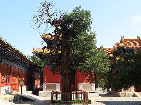 中國‧北京‧地壇、孔廟、國子監(Beijing Sroll 