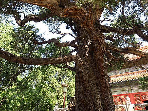 中國‧北京‧地壇、孔廟、國子監(Beijing Sroll 