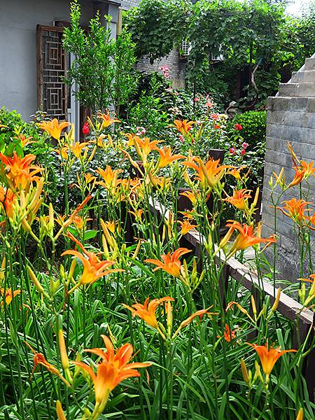 中國‧北京‧西什庫教堂一帶(Beijing Sroll II