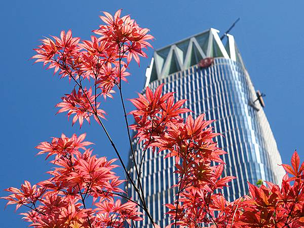 中國‧北京‧CBD、三里屯、王府井(Beijing Srol