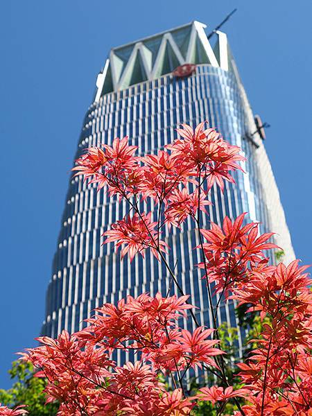 中國‧北京‧CBD、三里屯、王府井(Beijing Srol