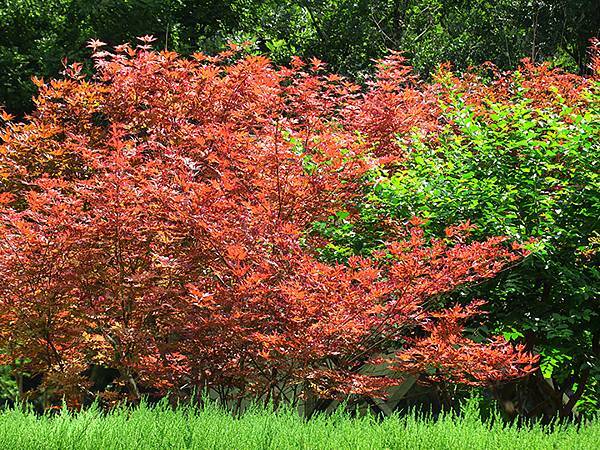 中國‧北京‧CBD、三里屯、王府井(Beijing Srol