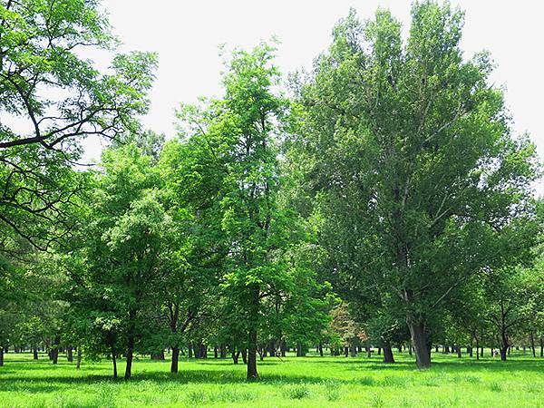 中國‧承德(一)‧避暑山莊(上)‧宮殿、文物、布局(Chen