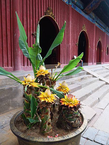 中國‧承德(四)‧普寧寺和博物館(Chengde IV)