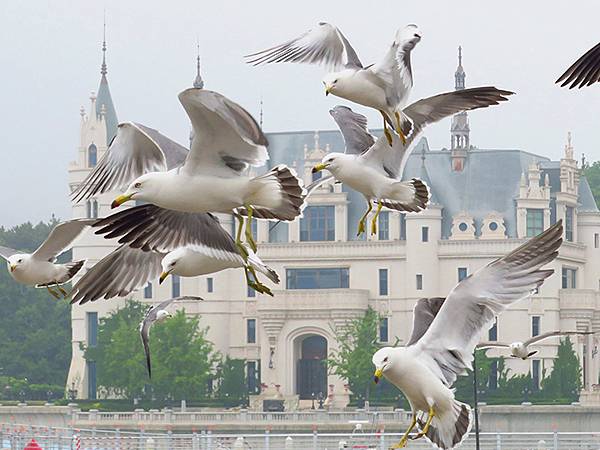 中國遼寧‧大連(三)‧漁人碼頭、威尼斯水城(Dalian I