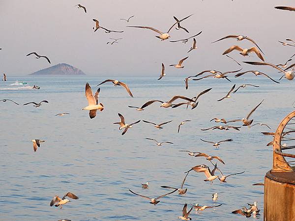 中國遼寧‧大連(三)‧漁人碼頭、威尼斯水城(Dalian I