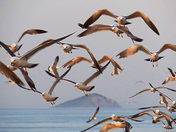 中國遼寧‧大連(三)‧漁人碼頭、威尼斯水城(Dalian I