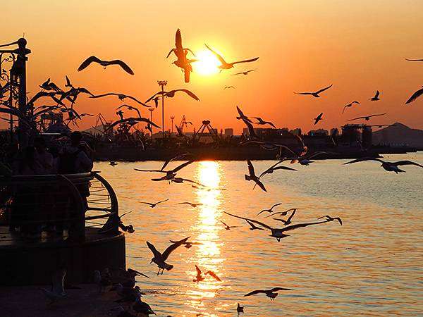 中國遼寧‧大連(三)‧漁人碼頭、威尼斯水城(Dalian I