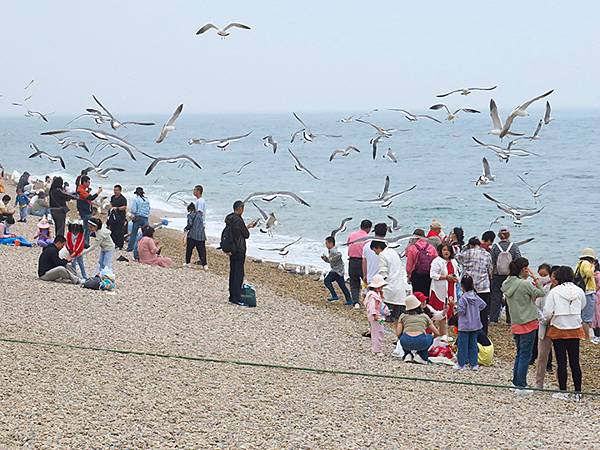 中國遼寧‧大連(四)‧棒槌島、海之韵公園(Dalian IV