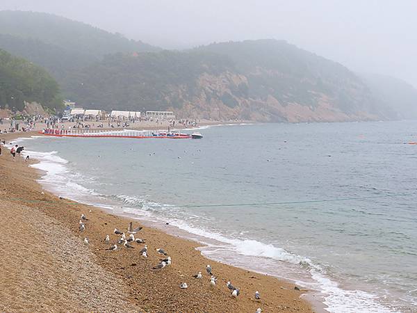 中國遼寧‧大連(四)‧棒槌島、海之韵公園(Dalian IV