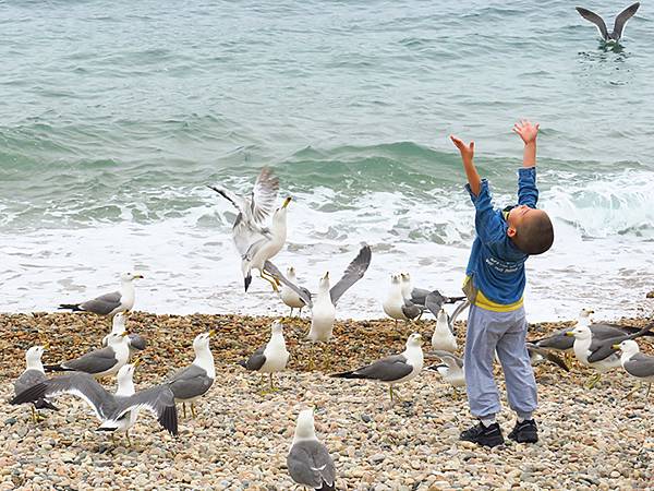 中國遼寧‧大連(四)‧棒槌島、海之韵公園(Dalian IV