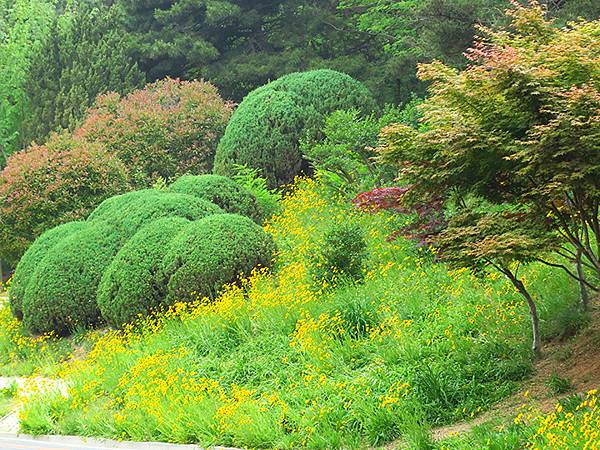 中國遼寧‧大連(四)‧棒槌島、海之韵公園(Dalian IV