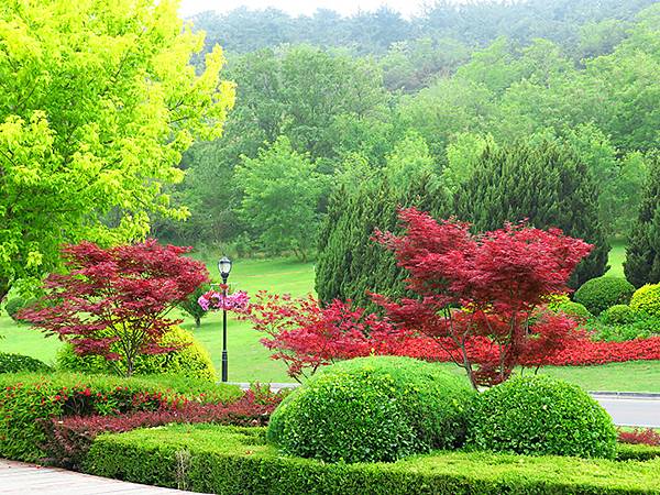 中國遼寧‧大連(四)‧棒槌島、海之韵公園(Dalian IV