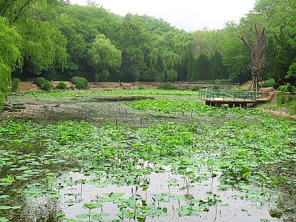 中國遼寧‧大連(四)‧棒槌島、海之韵公園(Dalian IV