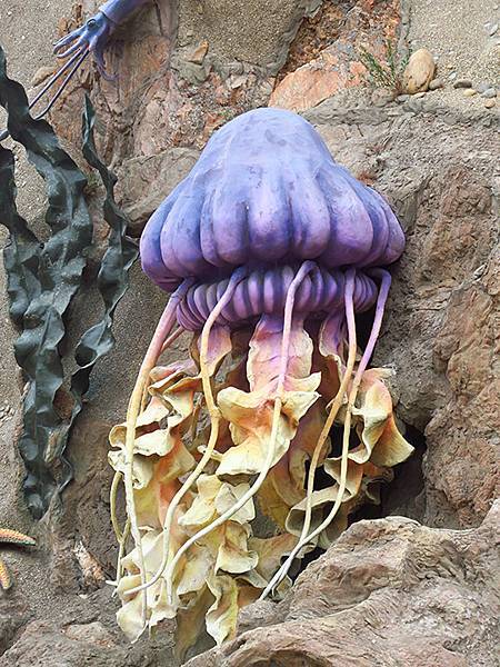 中國遼寧‧大連(四)‧棒槌島、海之韵公園(Dalian IV