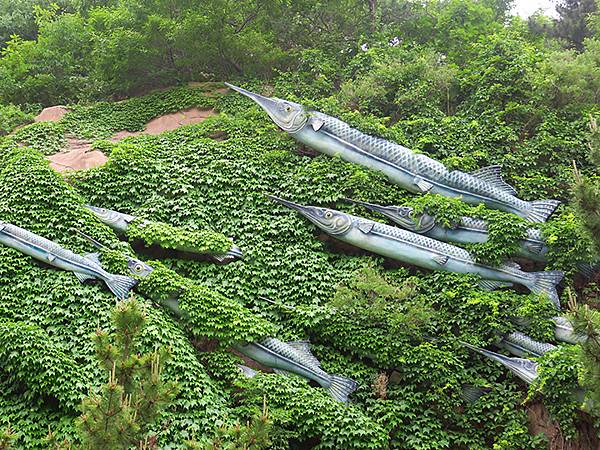 中國遼寧‧大連(四)‧棒槌島、海之韵公園(Dalian IV