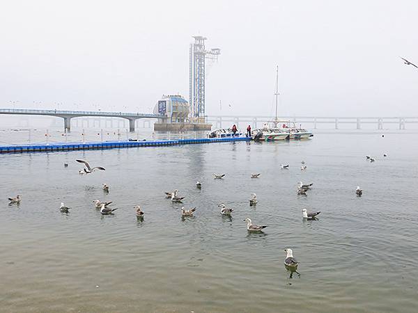 中國遼寧‧大連(五)‧親海棧道(上)‧星海公園段(Dalia