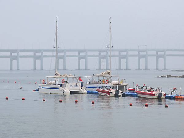 中國遼寧‧大連(五)‧親海棧道(上)‧星海公園段(Dalia