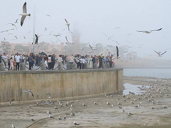 中國遼寧‧大連(五)‧親海棧道(上)‧星海公園段(Dalia