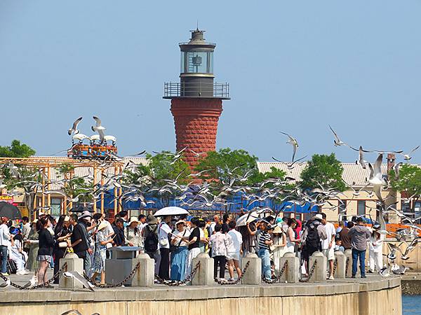 中國遼寧‧大連(五)‧親海棧道(上)‧星海公園段(Dalia