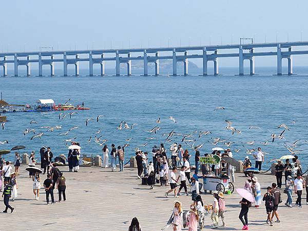 中國遼寧‧大連(五)‧親海棧道(上)‧星海公園段(Dalia