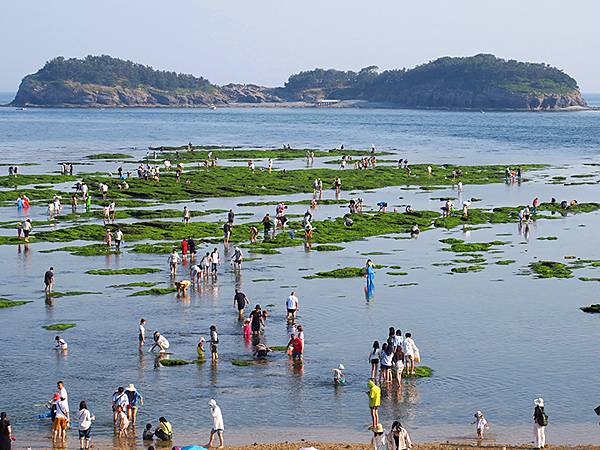 中國遼寧‧大連(六)‧親海棧道(下)‧傅家庄段(Dalian