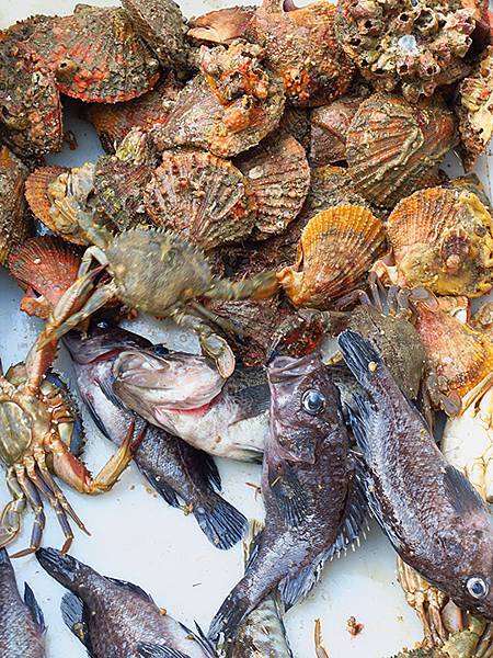 中國遼寧‧大連(六)‧親海棧道(下)‧傅家庄段(Dalian