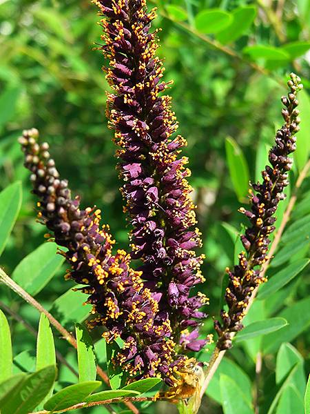 中國遼寧‧大連(七)‧金石灘(上)‧地質公園(Dalian 中國遼寧‧大連(七)‧金石灘(上)‧地質公園(Dalian