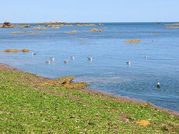 中國遼寧‧大連(七)‧金石灘(上)‧地質公園(Dalian 中國遼寧‧大連(七)‧金石灘(上)‧地質公園(Dalian