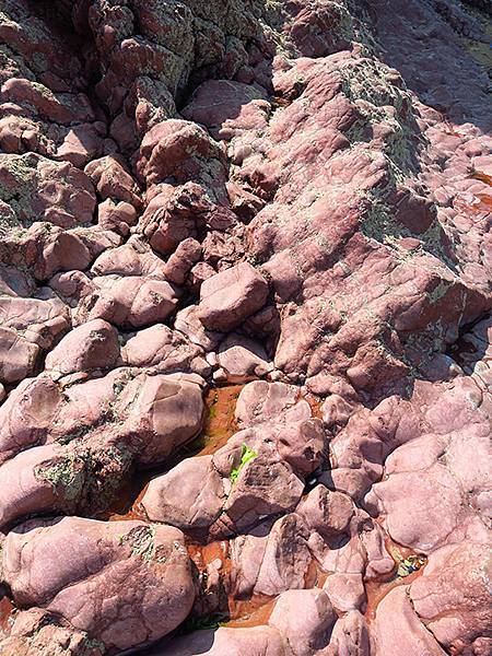 中國遼寧‧大連(七)‧金石灘(上)‧地質公園(Dalian 中國遼寧‧大連(七)‧金石灘(上)‧地質公園(Dalian