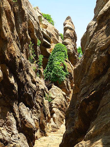 中國遼寧‧大連(八)‧金石灘(下)‧金石園、黃金海岸(Dal