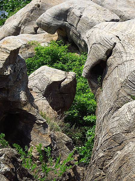 中國遼寧‧大連(八)‧金石灘(下)‧金石園、黃金海岸(Dal