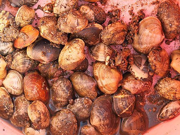 中國遼寧‧大連(八)‧金石灘(下)‧金石園、黃金海岸(Dal