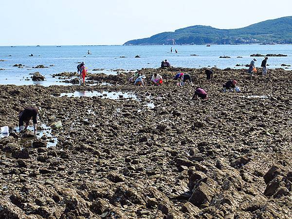 中國遼寧‧大連(八)‧金石灘(下)‧金石園、黃金海岸(Dal