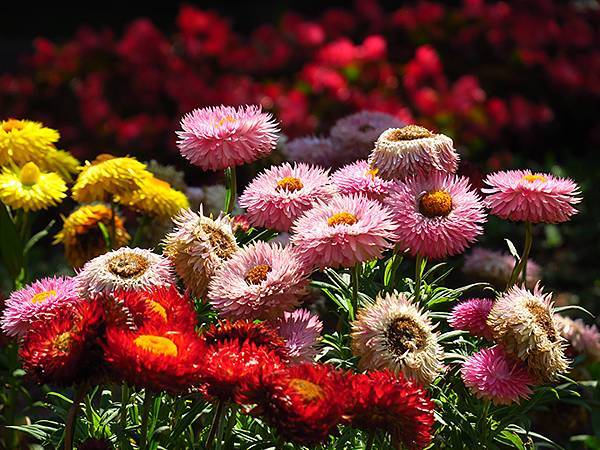 中國遼寧‧大連(九)‧青泥窪橋、勞動公園(Dalian IX