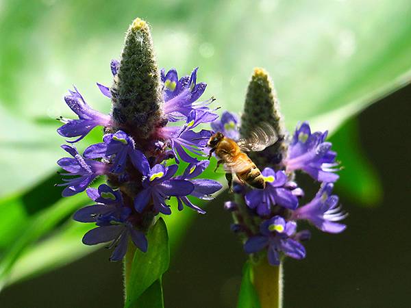 中國遼寧‧大連(九)‧青泥窪橋、勞動公園(Dalian IX